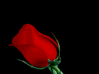my name